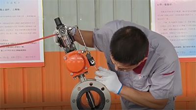 Assemblage de vanne papillon avec actionneur pneumatique