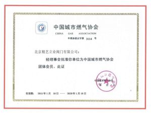 Membre de l'association du gaz de ville de Chine